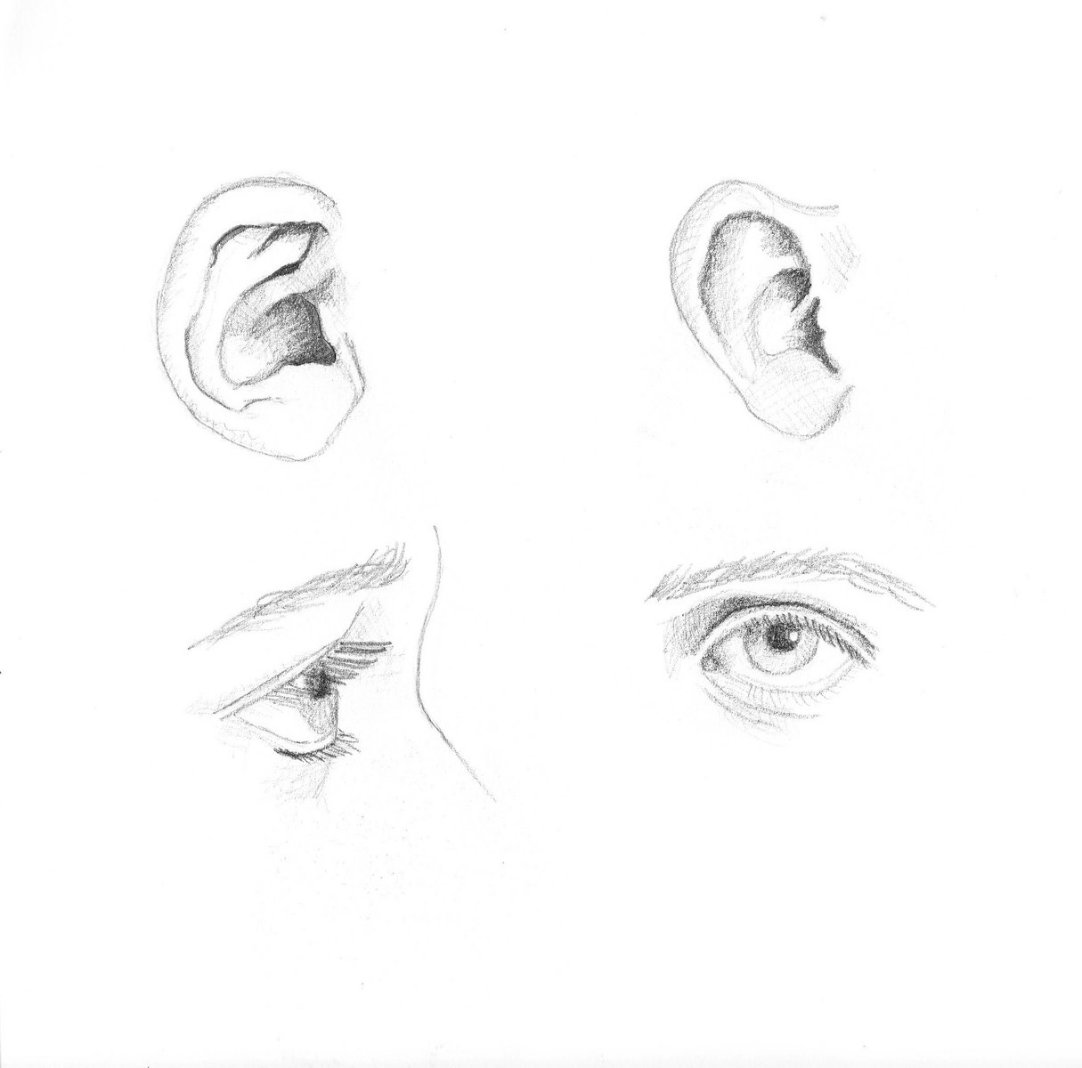 Eyes and ears